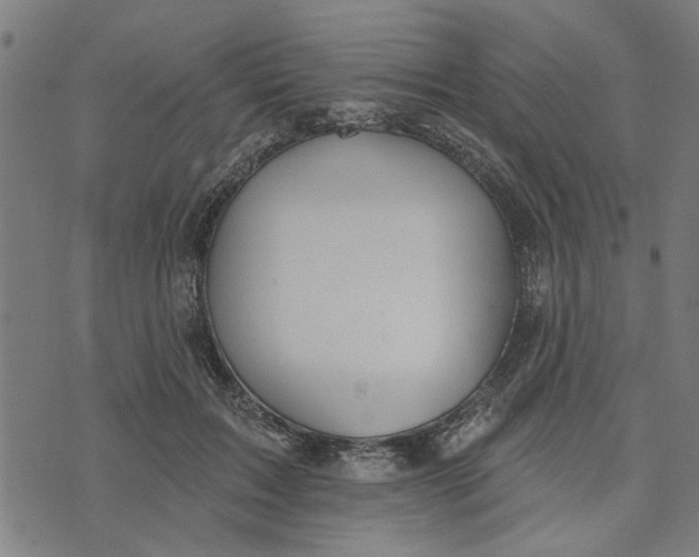 X0000073520603200608211806