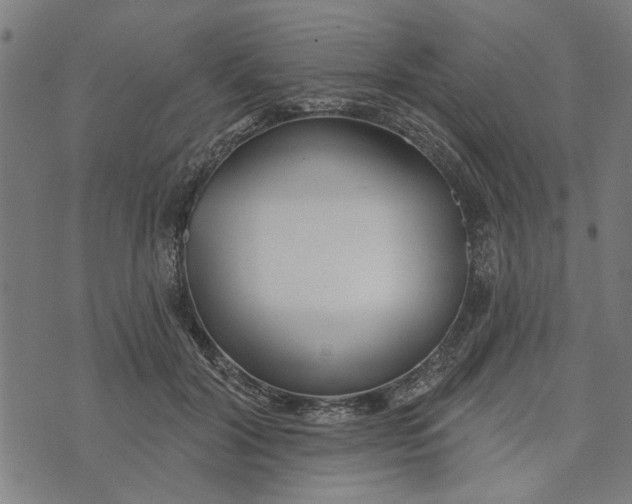 X0000073520604200608211806