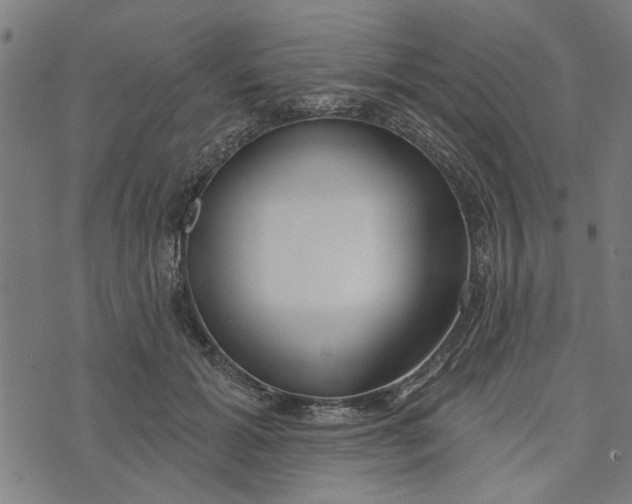 X0000073520605200608211806