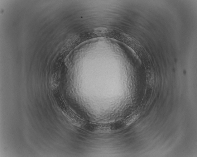 X0000073520606200608211806