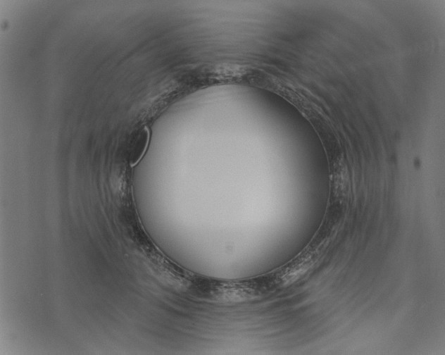 X0000073520608200608211806