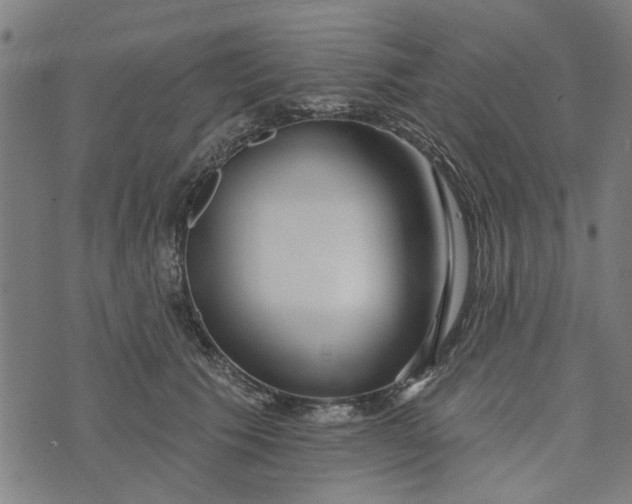 X0000073520609200608211806