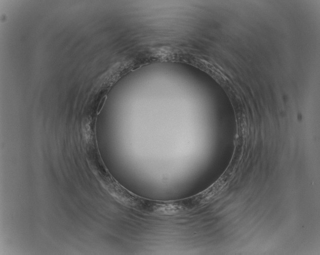 X0000073520611200608211806