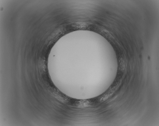 X0000073520612200608211806