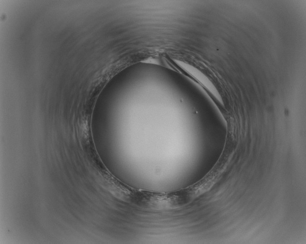 X0000073520613200608211806