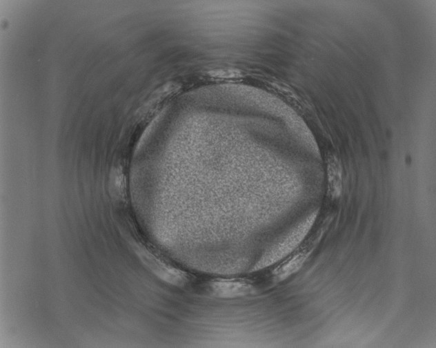 X0000073520614200608211806