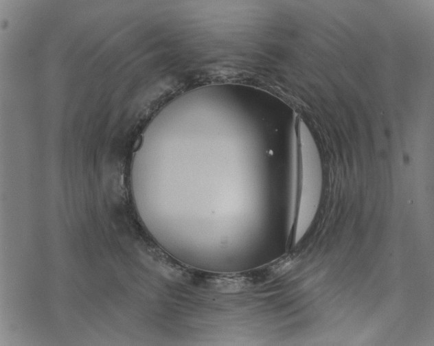 X0000073520615200608211806