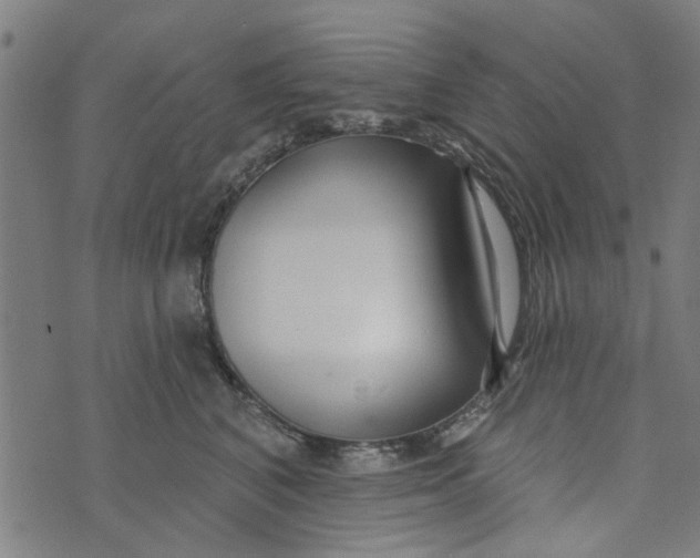 X0000073520616200608211806