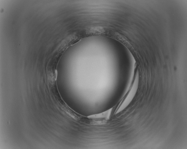 X0000073520617200608211806