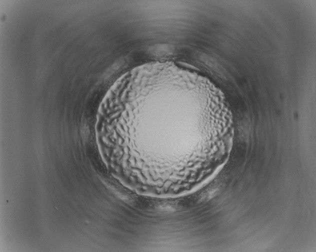 X0000073520618200608211806