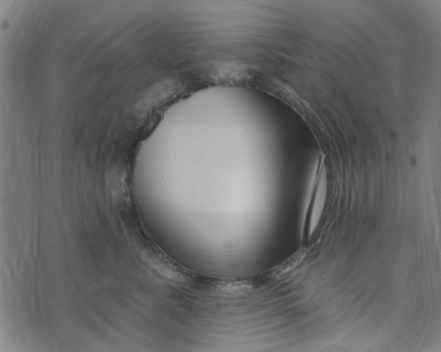 X0000073520619200608211806