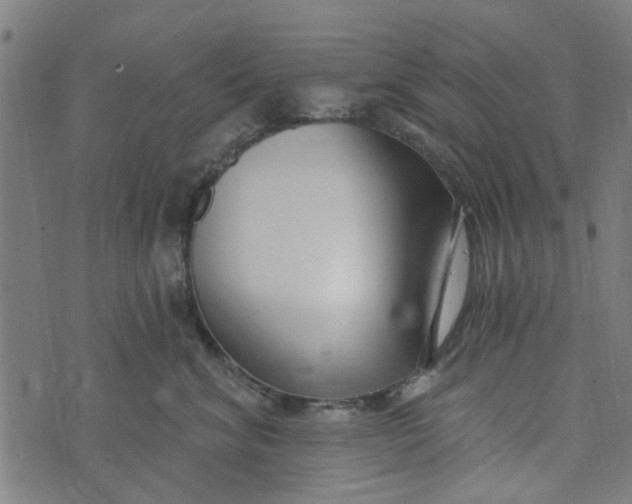 X0000073520620200608211806