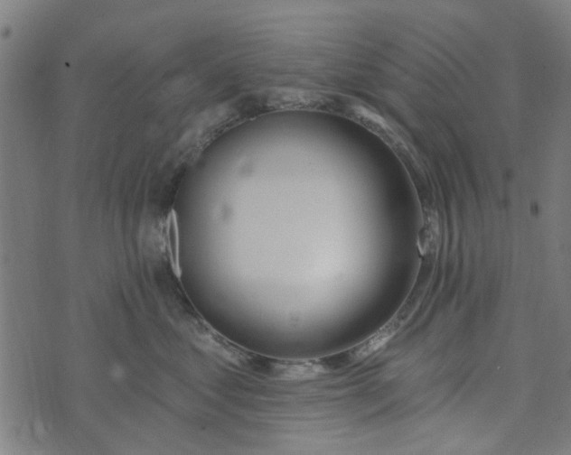 X0000073520621200608211806