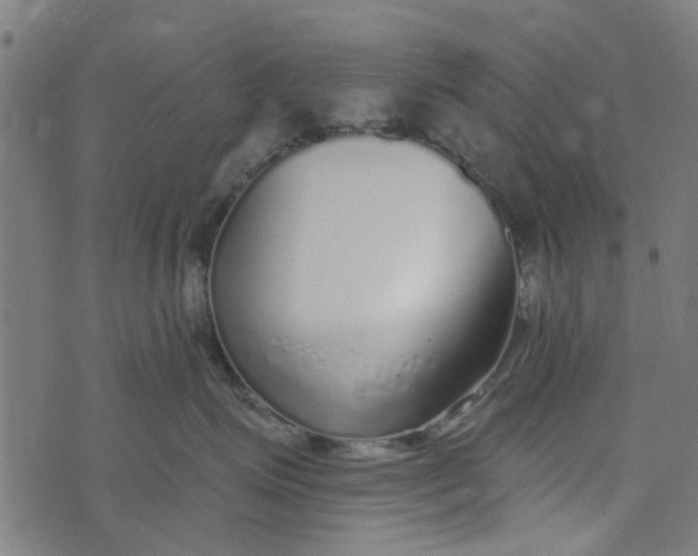 X0000073520623200608211806