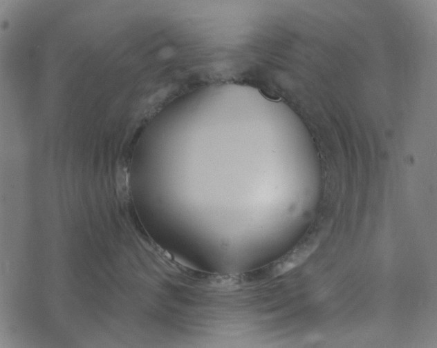 X0000073520624200608211806