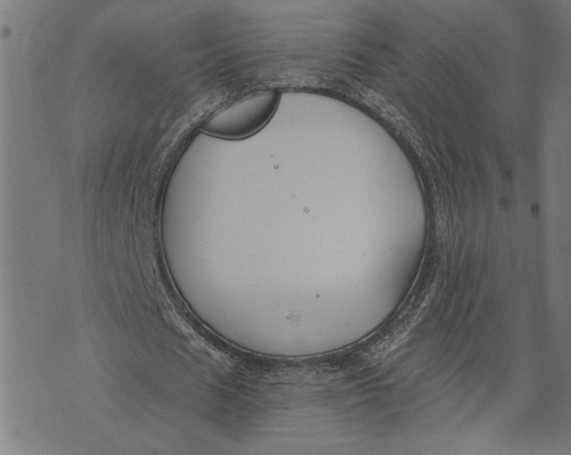 X0000073520625200608211805