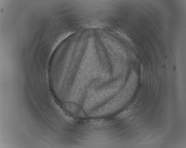 X0000073520626200608211805