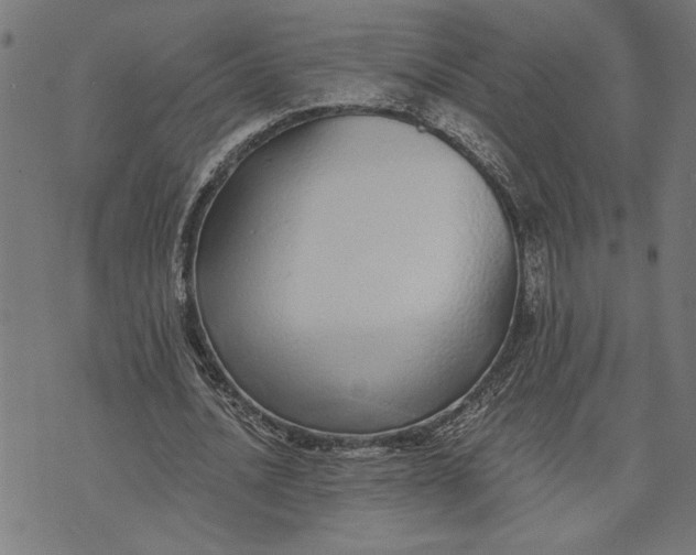 X0000073520628200608211805