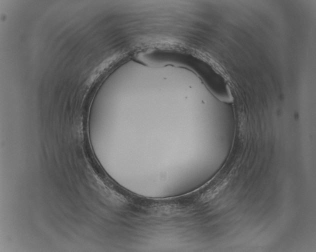 X0000073520629200608211805