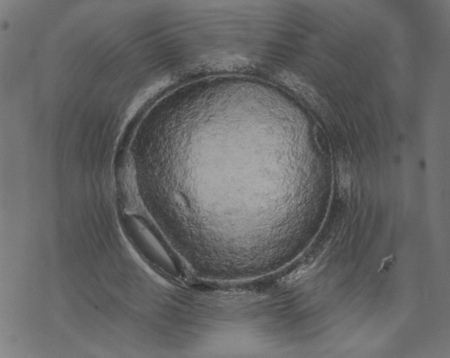 X0000073520630200608211805