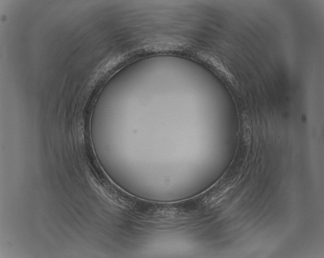 X0000073520631200608211805