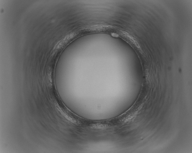 X0000073520633200608211805