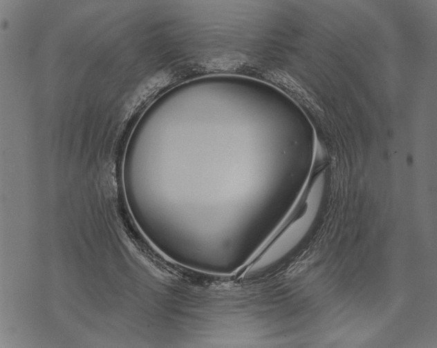 X0000073520634200608211805