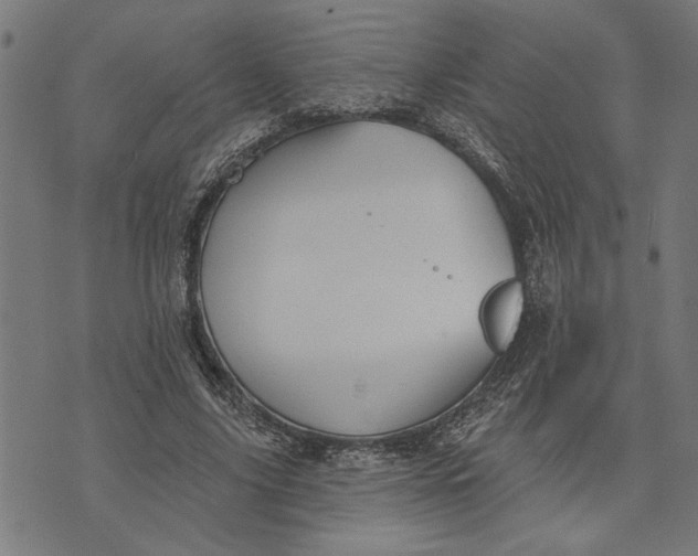 X0000073520635200608211805