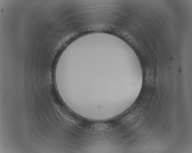 X0000073520636200608211805