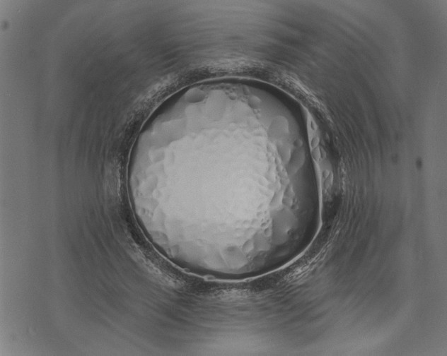 X0000073520637200608211805