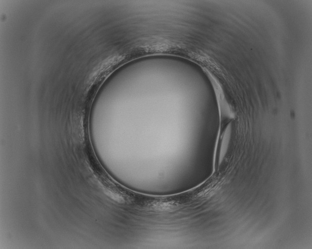 X0000073520638200608211805