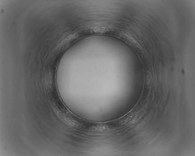 X0000073520639200608211805