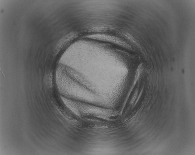 X0000073520640200608211805