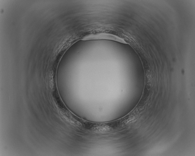 X0000073520642200608211805