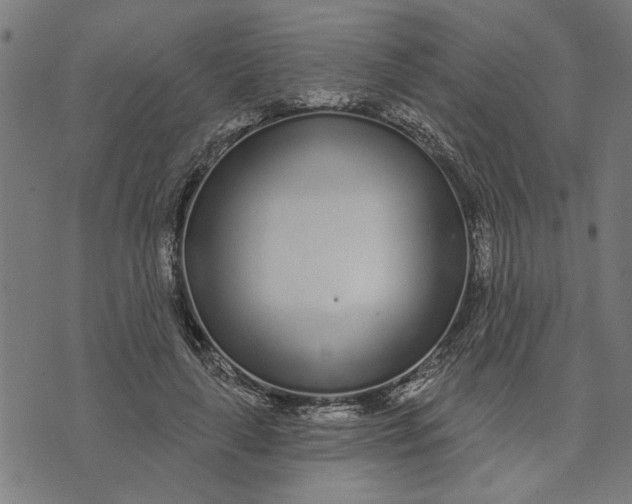 X0000073520643200608211805