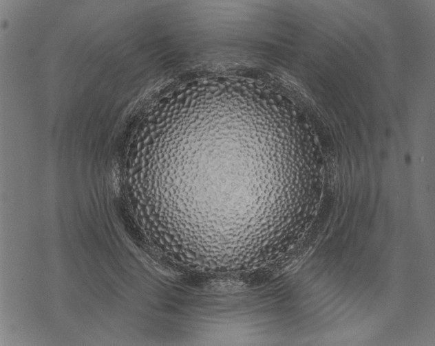 X0000073520644200608211805