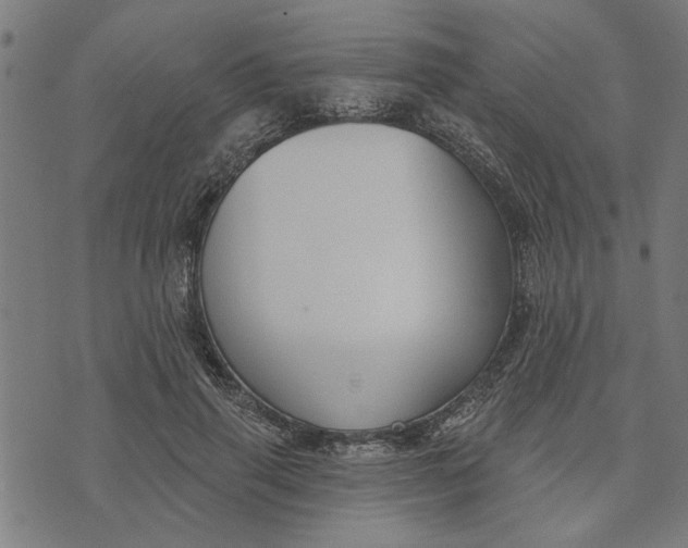 X0000073520645200608211805