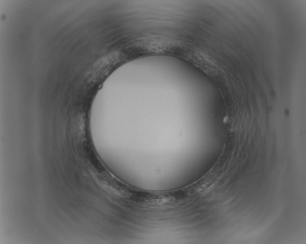 X0000073520646200608211805