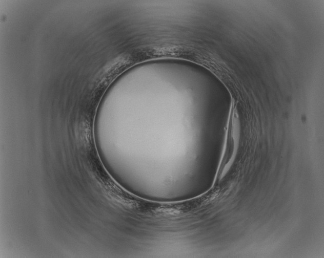 X0000073520648200608211806