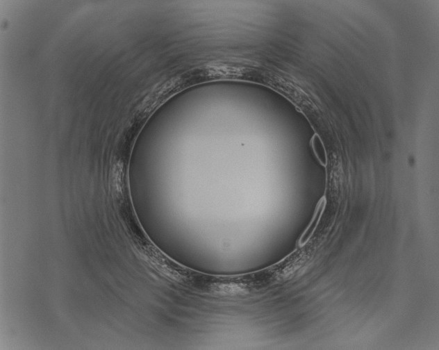 X0000073520649200608211806