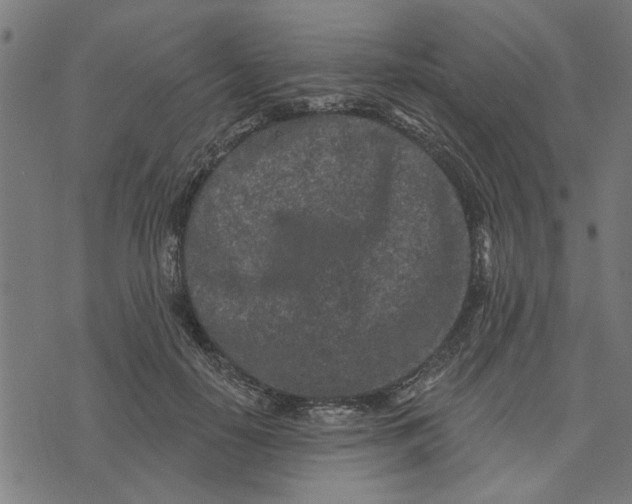 X0000073520650200608211806