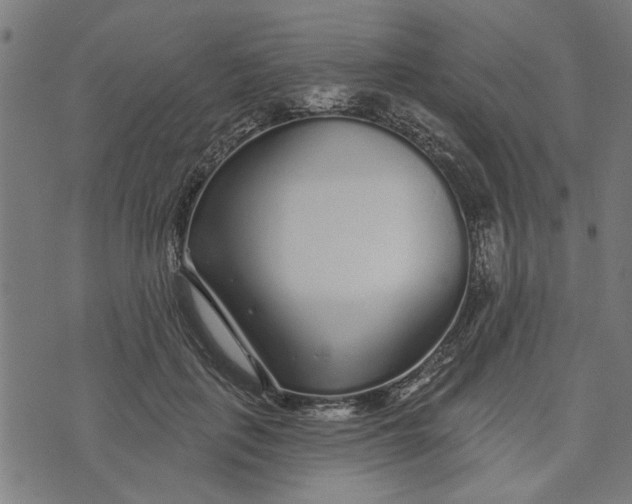 X0000073520651200608211806