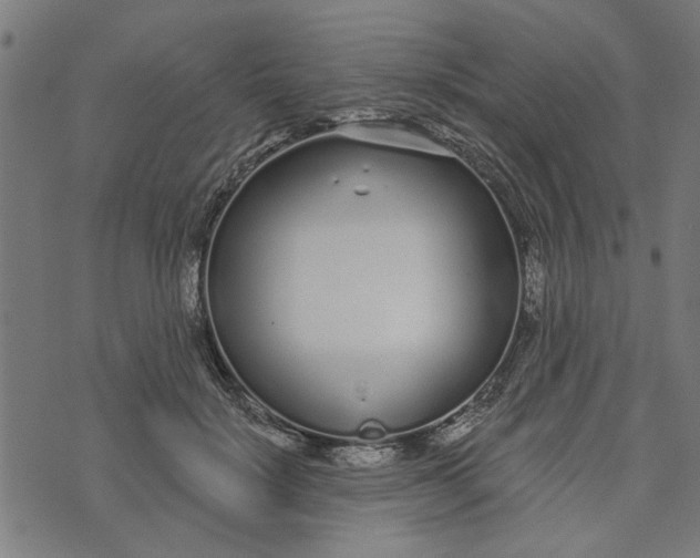 X0000073520652200608211806