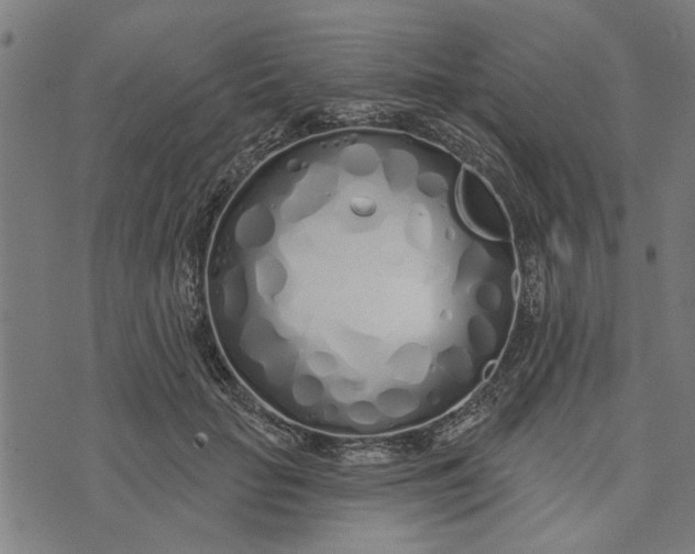 X0000073520653200608211806