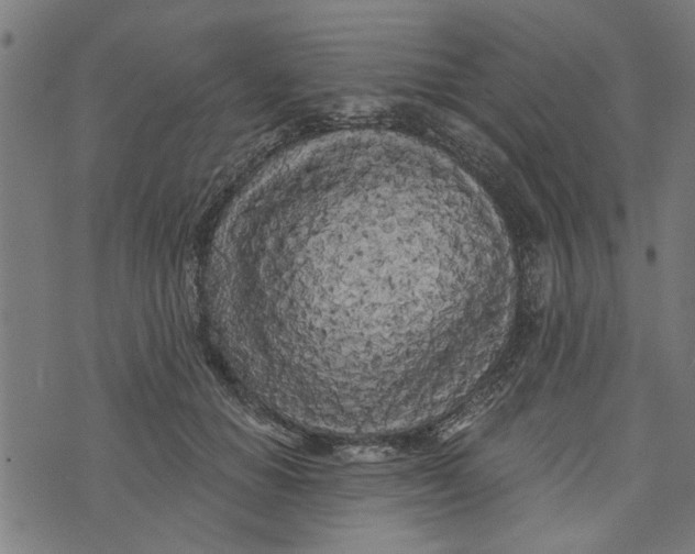 X0000073520654200608211806