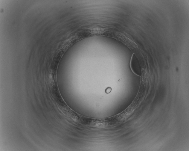 X0000073520655200608211806