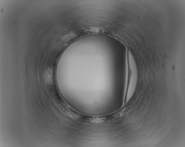 X0000073520656200608211806