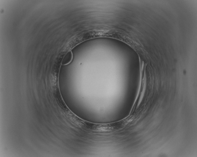 X0000073520657200608211806