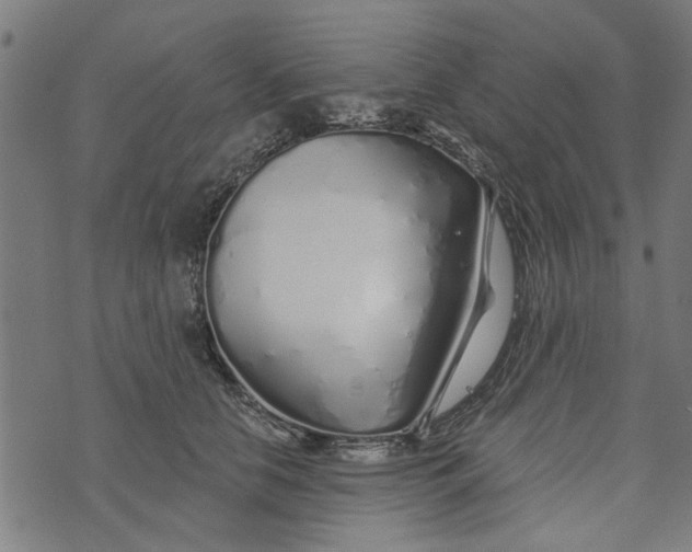 X0000073520658200608211806