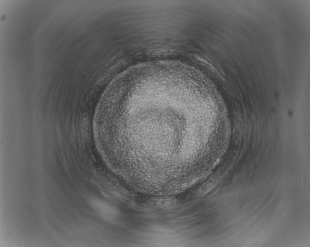 X0000073520659200608211806